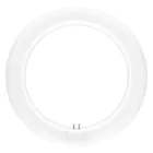 Ledvance LED Röhre T9 Value rund (EM/Mains) 11W 1320lm - 840 Kaltweiß | Ersatz für 22W